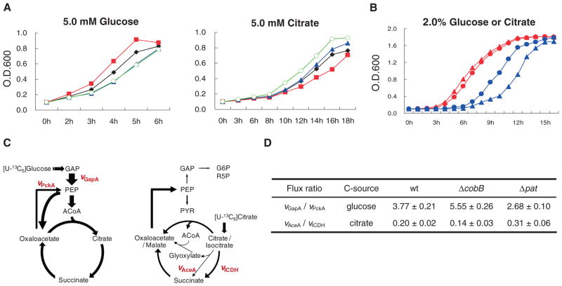 Fig. 2