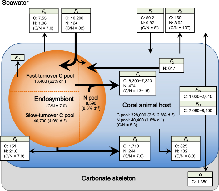 Fig. 3