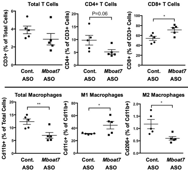 Figure 3—figure supplement 1.