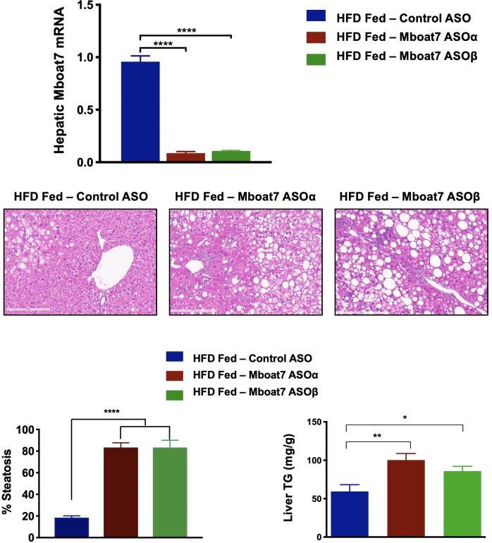 Figure 2—figure supplement 4.