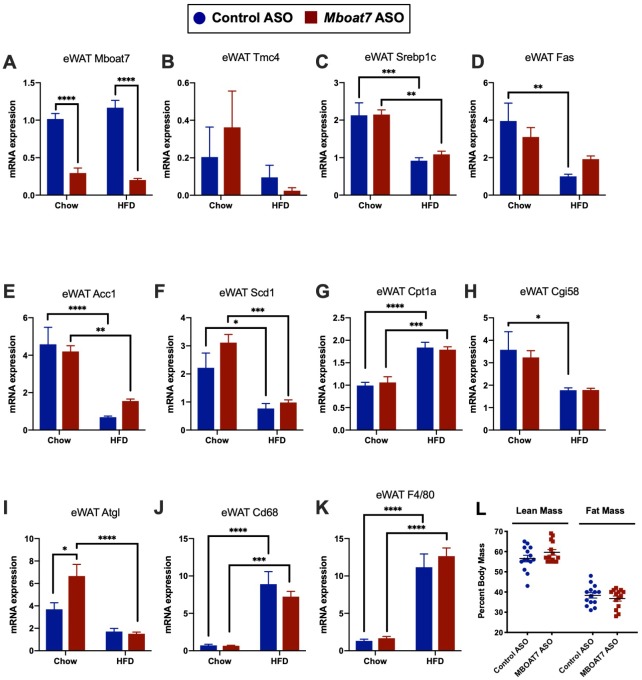 Figure 2—figure supplement 1.