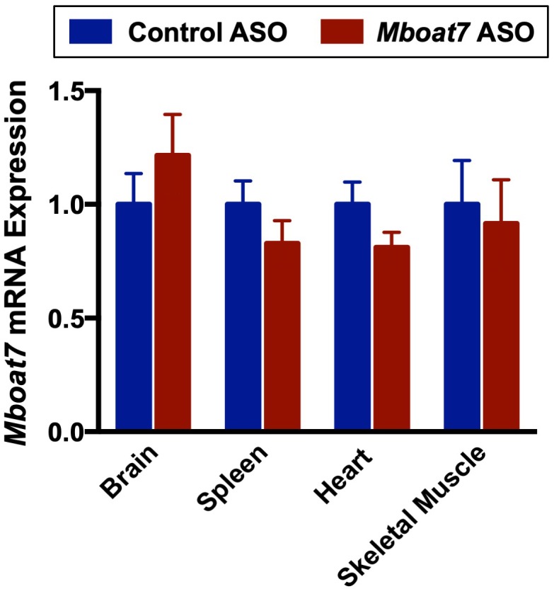 Figure 2—figure supplement 2.