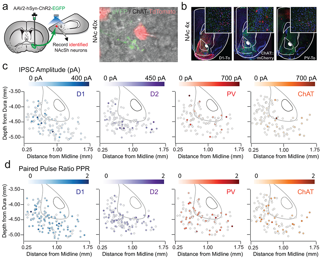 Extended Data Fig. 4