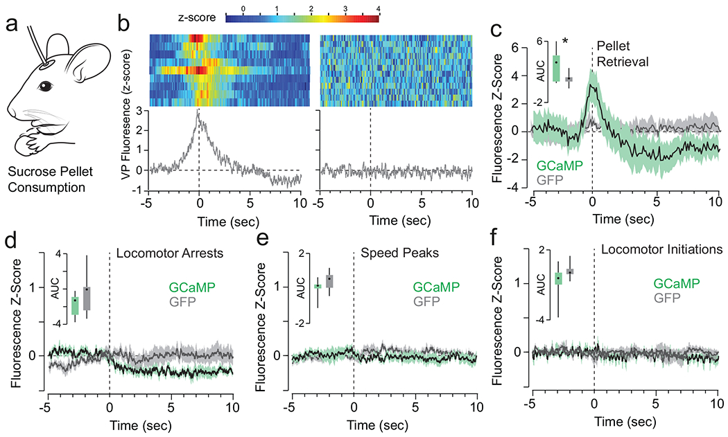 Extended Data Fig. 8