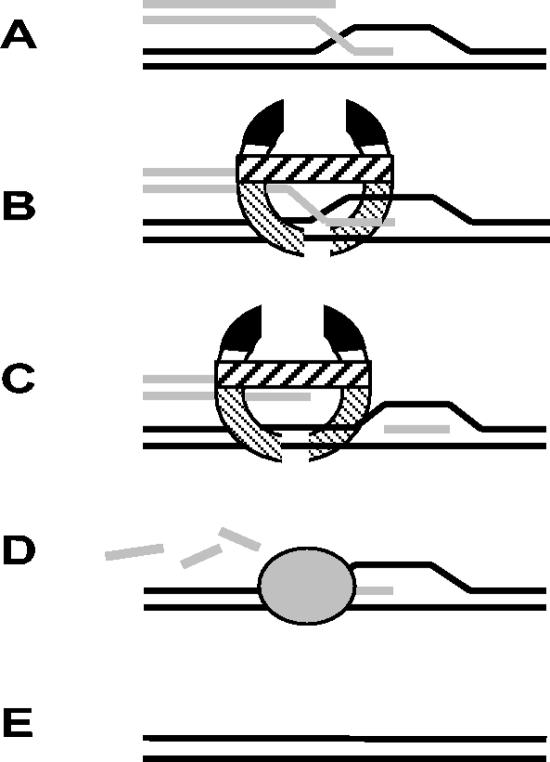 FIG. 5.