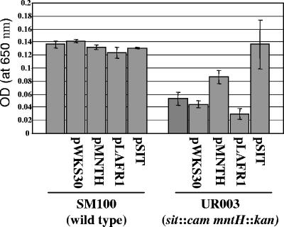 FIG. 2.