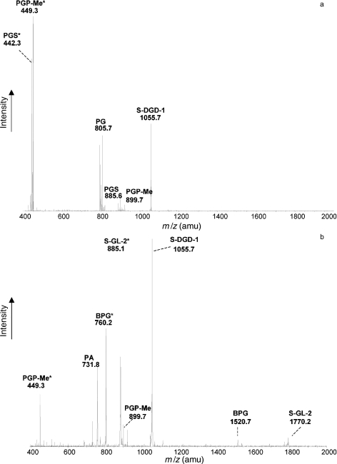 Figure 4.