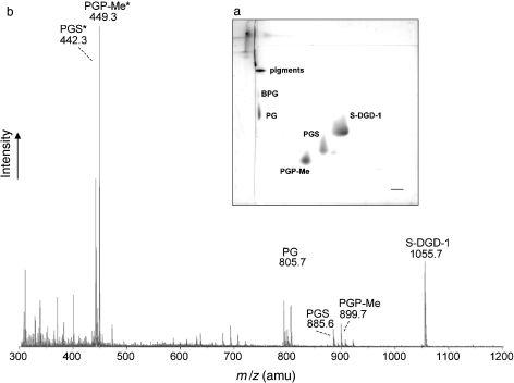 Figure 2.