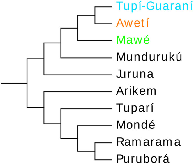 Fig 3