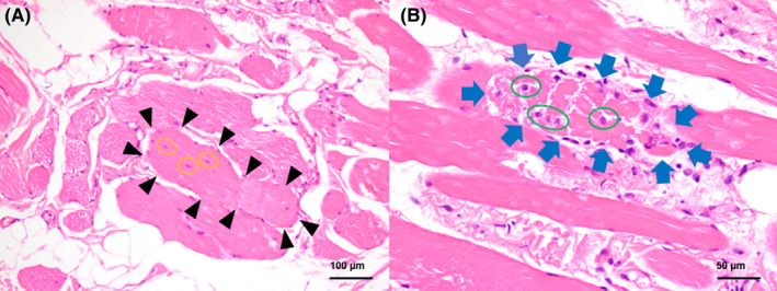 FIGURE 3