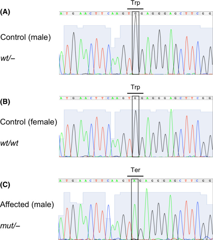 FIGURE 4