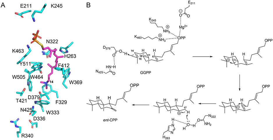 Fig. 11
