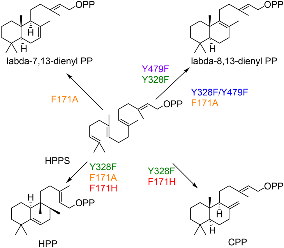 Fig. 26