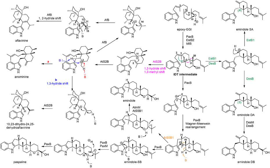 Fig. 17