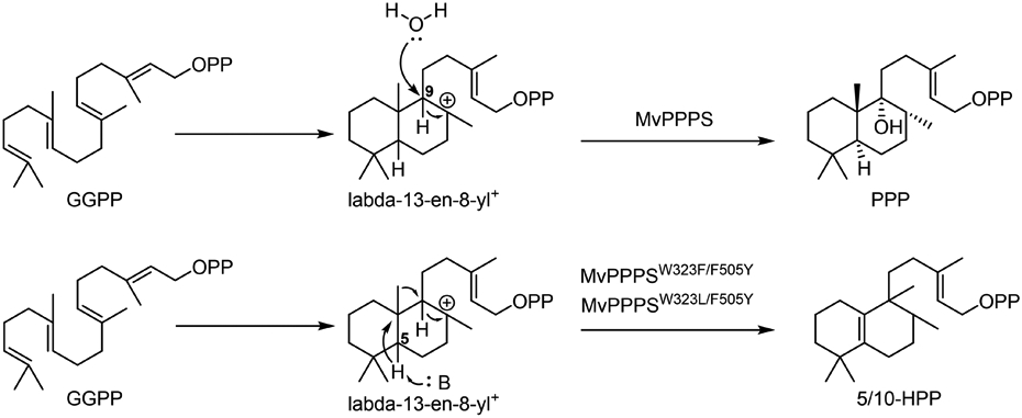 Fig. 25