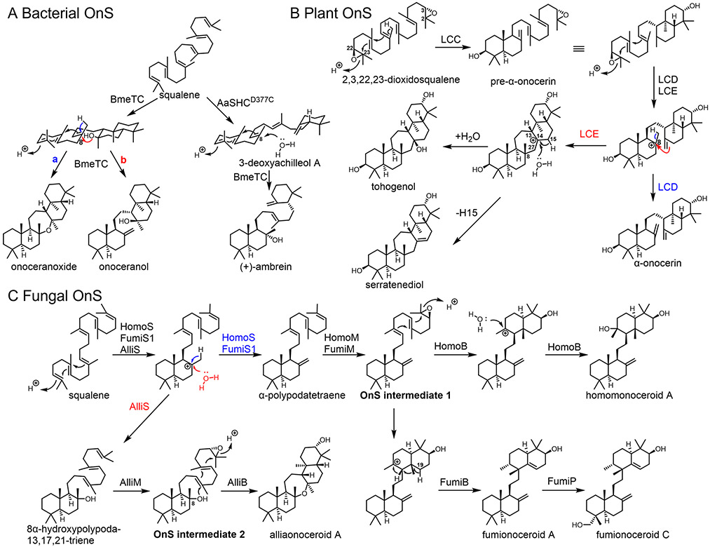 Fig. 14
