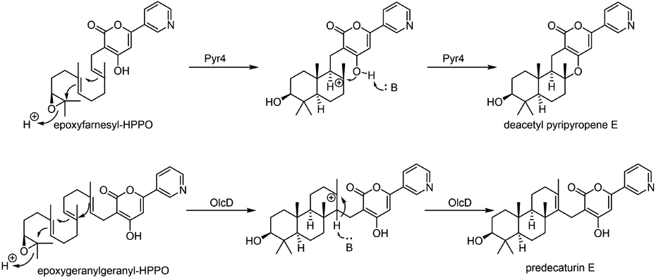 Fig. 15