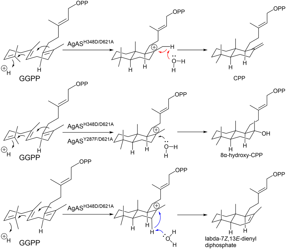 Fig. 22