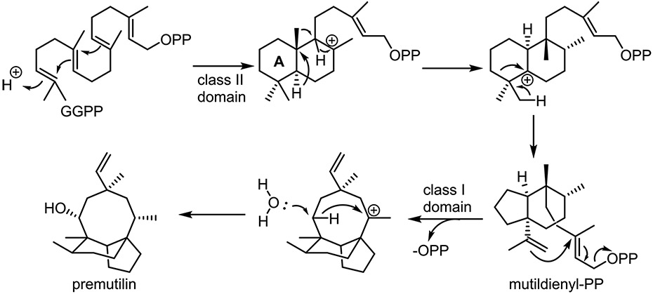 Fig. 12