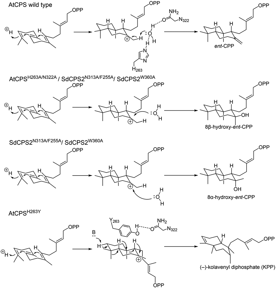 Fig. 23