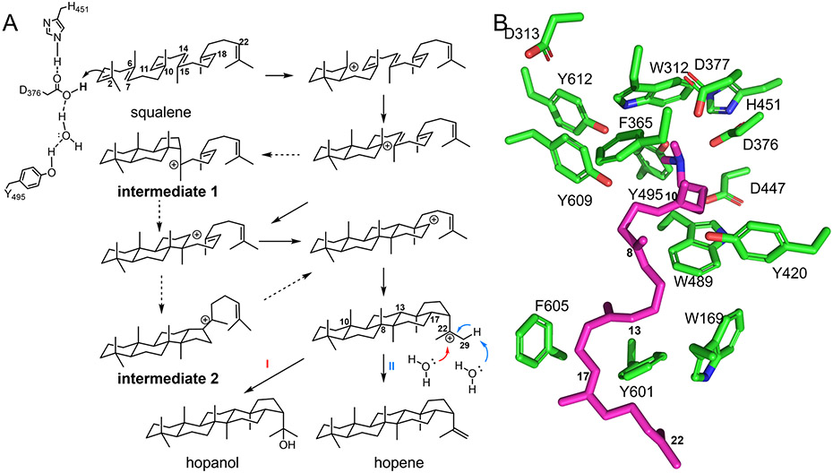Fig. 9