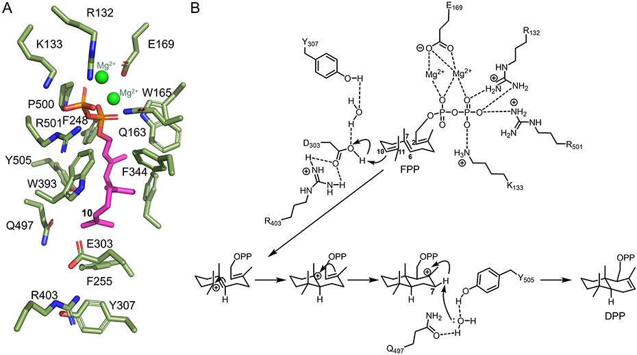 Fig. 13