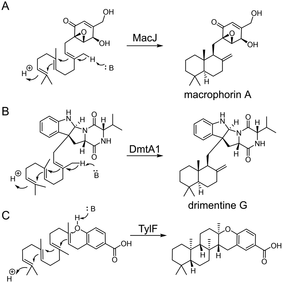 Fig. 18