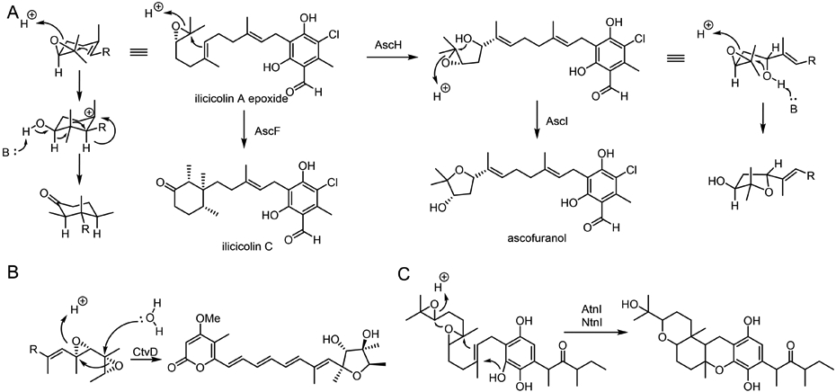 Fig. 19