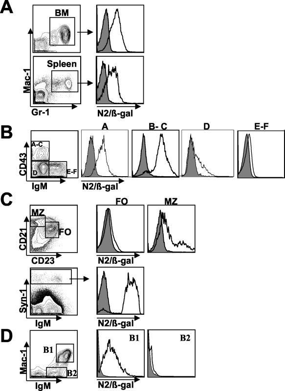 FIG. 2.