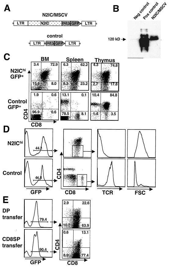 FIG.4.