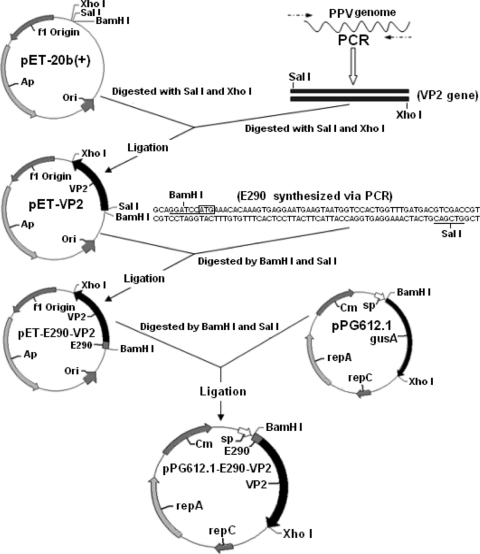 Fig. 1.