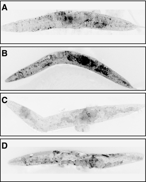 FIG. 5.