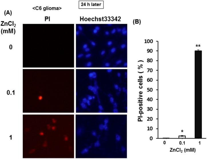 Fig 13