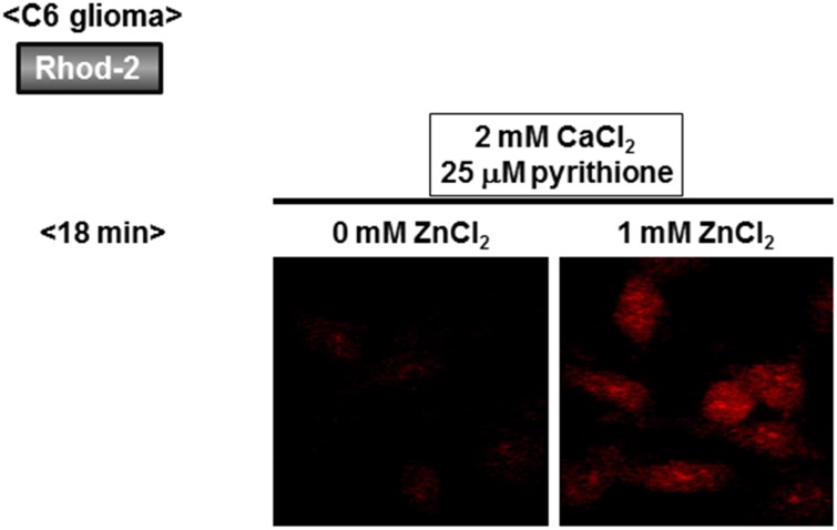 Fig 6