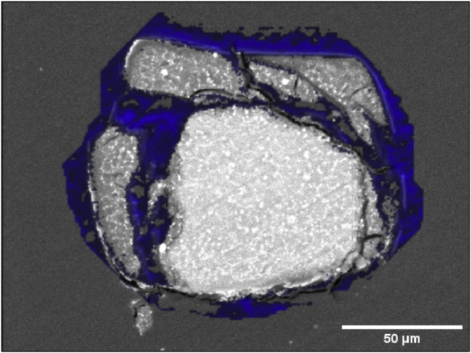 Fig. 5