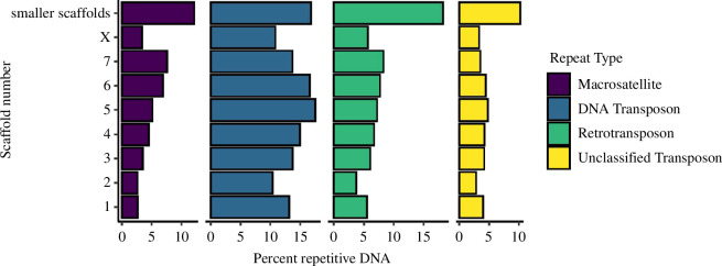 Distribution of repetitive elements.