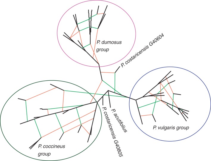 Fig. 5.