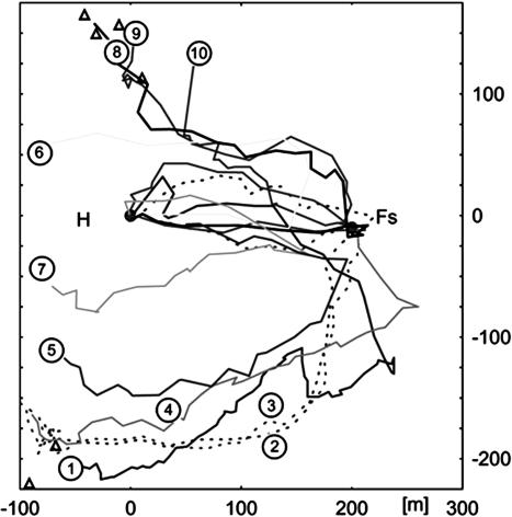 Fig. 3.