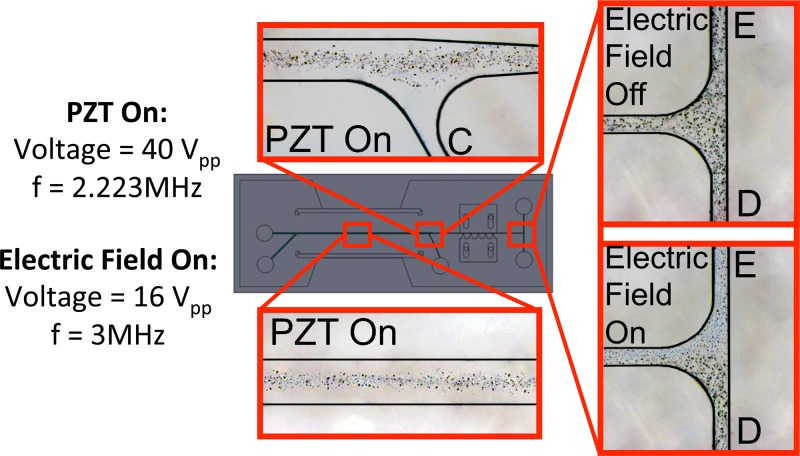 FIG. 11.