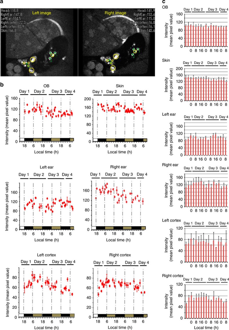 Figure 5