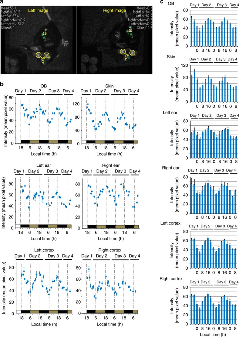 Figure 4