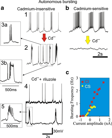 Fig. 4