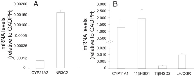 Figure 4.