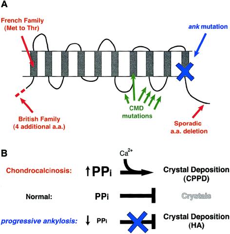 Figure  4