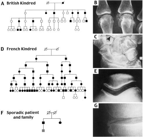 Figure  1