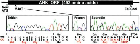 Figure  2