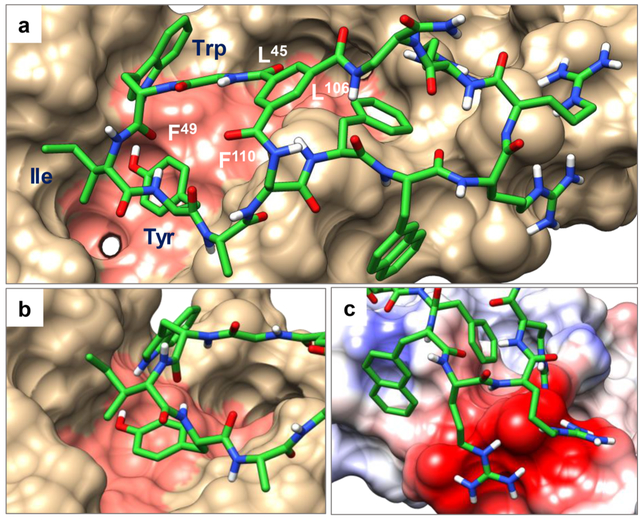 Figure 3.