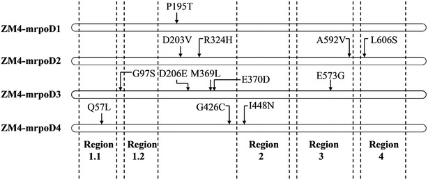 Fig. 6