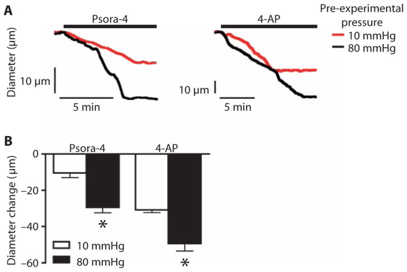 Fig. 8