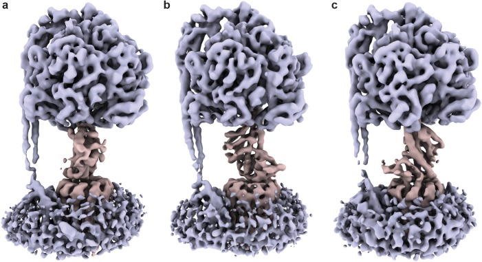 Figure 1—figure supplement 5.